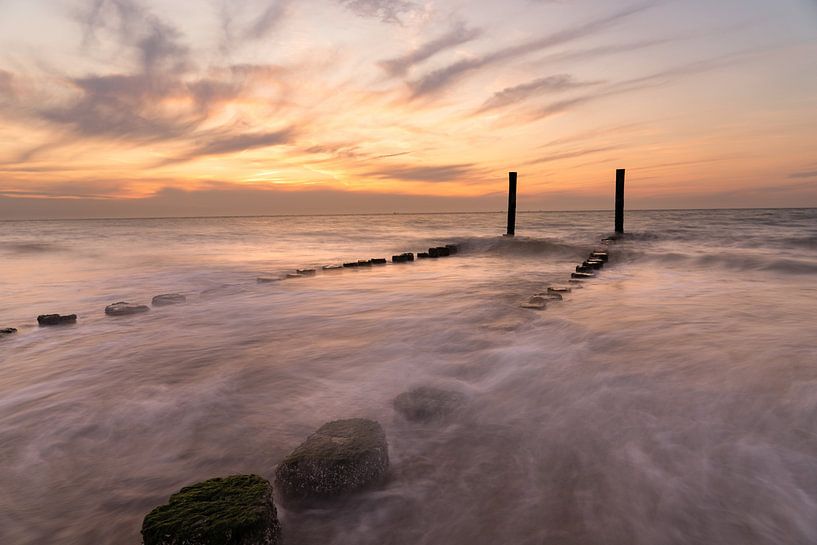 Dynamics on the stand by Louise Poortvliet