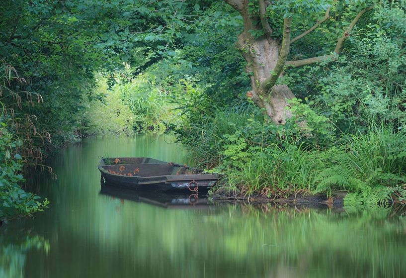 Boot im Park von Thijs Friederich