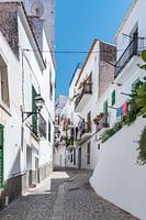 Ibiza-City Dalt Vila