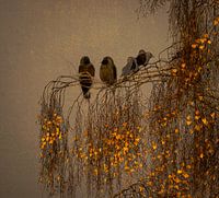 Atmosphärisches Bild von Krähen im Herbstbaum