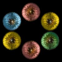 Een universum van paardenbloemen