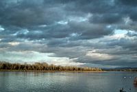 Le Rhin au printemps