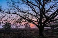 Früher Sonnenaufgang