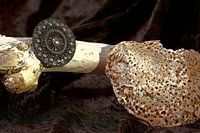 Großer Zeeland-Knoten