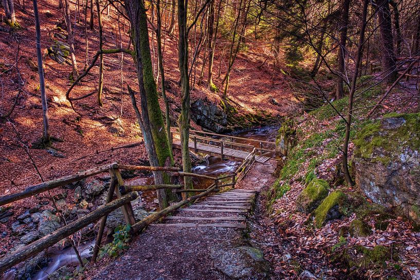 Gebirgsfluss La Hoëgne von Rob Boon
