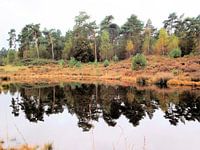 Prachtige herfstkleuren langs het water.