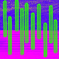 Kakteen in der Wüste