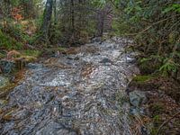 Fließender Fluss mit schöner Kulisse