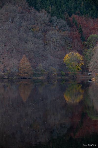 Herfst in het bos van Ken Costers