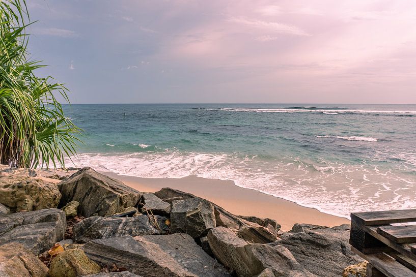 An der Küste von Nicole Nagtegaal