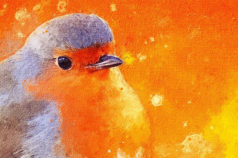 Rotkehlchen vor orangefarbenem Hintergrund (Kunst, Nahaufnahme) von Art by Jeronimo