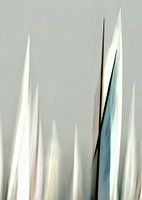 Zeilen, net voor de start