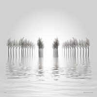 Winterliches Hochwasser.