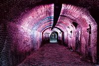 Rosa Tunnel Oude gracht Utrecht