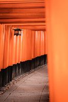 Sous les tori's rouges du Fushimi Inari-taisha