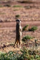 Photos taken during our three-week tour of South Africa