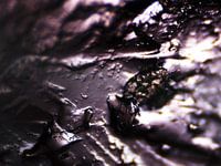 Les ours Haribo sous le microscope