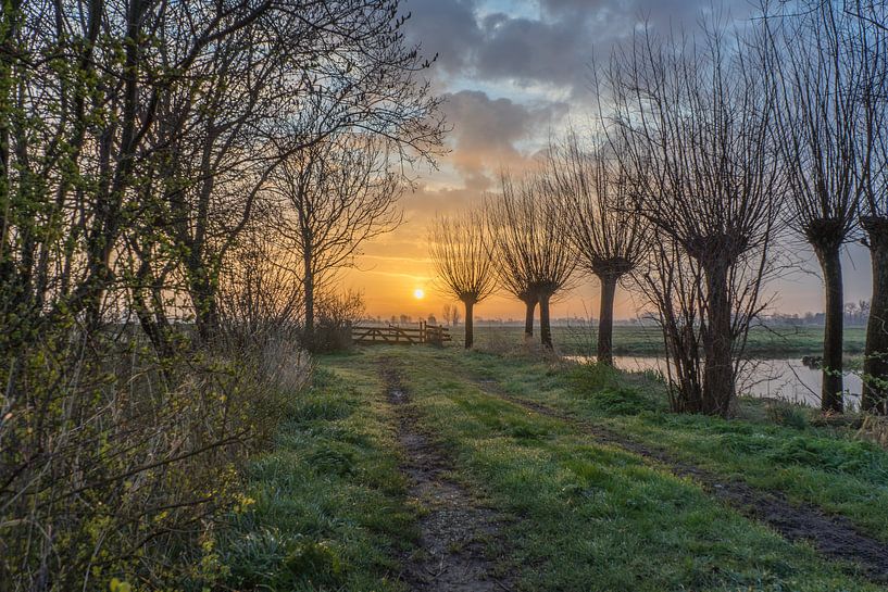 Kalter Sonnenaufgang im Polder von Rossum-Fotografie
