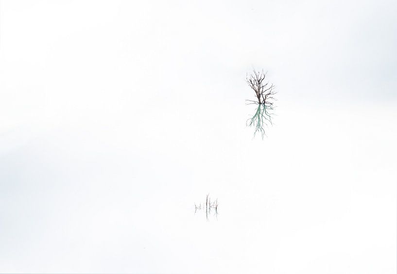 Les branches dénudées se reflètent dans le lac par Werner Lerooy