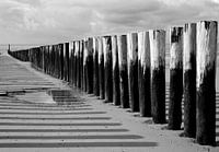 Wellenbrecher entlang der Küste von Zeeland in Schwarz-Weiß