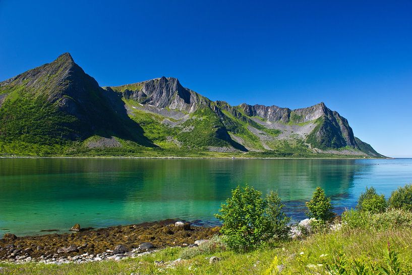 Rêve d'été Senja par Anja B. Schäfer