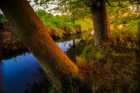 landscape at sunrise