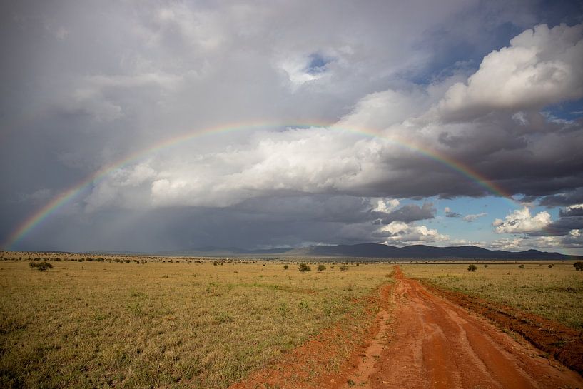 Nuit pluvieuse dans la savane, photo de paysage par Fotos by Jan Wehnert