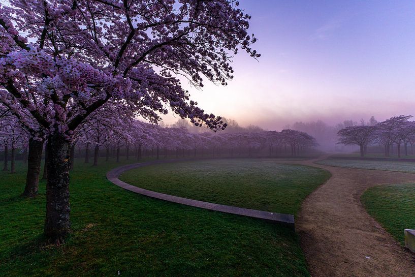 Moment der Ruhe im Blütenpark von peterheinspictures