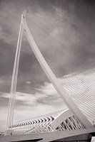 Museo de las Ciencias & Assut de l'Or Brücke Foto - Ikonische Valencia Wanddekoration