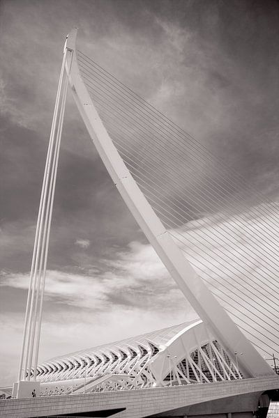 Photo du pont Assut de l'Or et du Museo de las Ciencias - Décoration murale iconique de Valence par Studio Ajuut