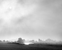 amerongse bovenpolder in ochtendmist