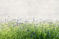 Blütentanz - Flowerdance