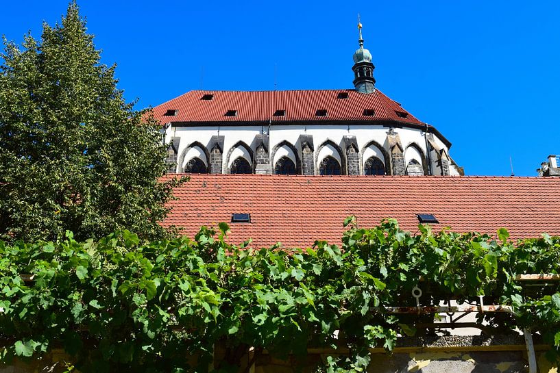 Église à Prague, République tchèque, avec des vignes au premier plan, sur fond de ciel bleu vif en été par Studio LE-gals