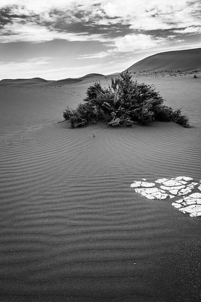 Zand Namibie von Family Everywhere