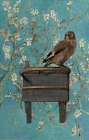 Het Puttertje en de Amandelbloesem