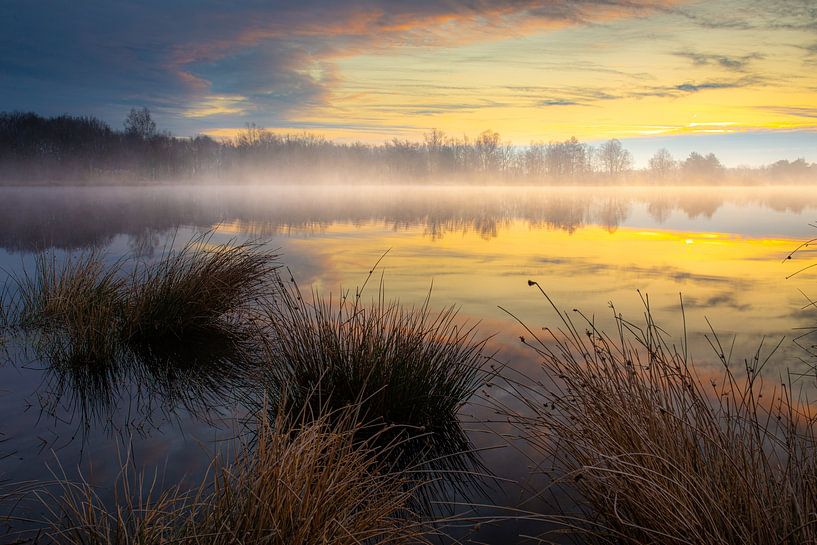 Morning mist over a small lake in the woods by Wilko Visscher