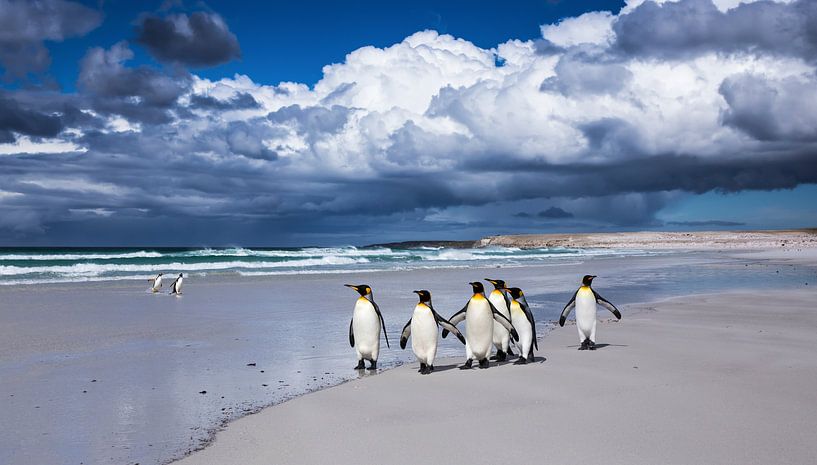 After the Storm par Claudia van Zanten