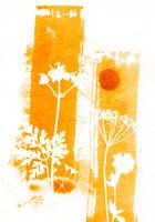 Lignes florales d'été