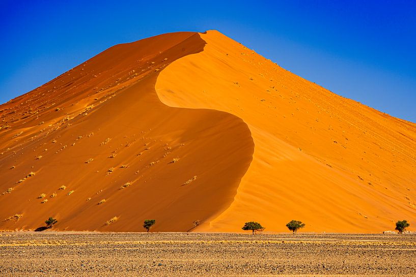 Majestic dune in the Namib Desert near Sossusvlei by Fototante
