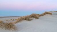 Pink Dunes 1