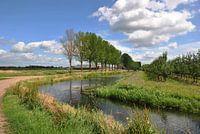 River Landscape/Rivierlandschap