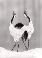 Der Balztanz der japanischen Kraniche