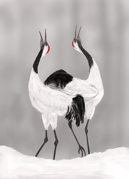 Japanese cranes' courtship dance by Hans van Gurp