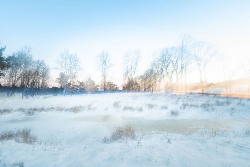 Abstrakte Winterlandschaft von Ilse Dijkstra
