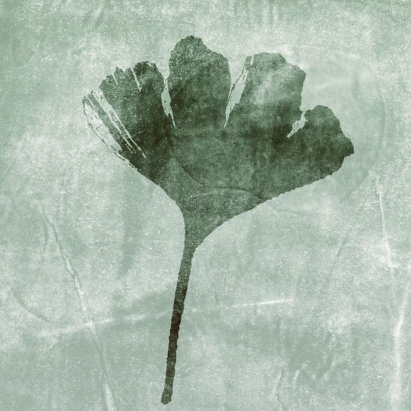 Botanische Kunst im Japandi  Stil. Ginkgo-Blatt in mintgrün. von Dina Dankers