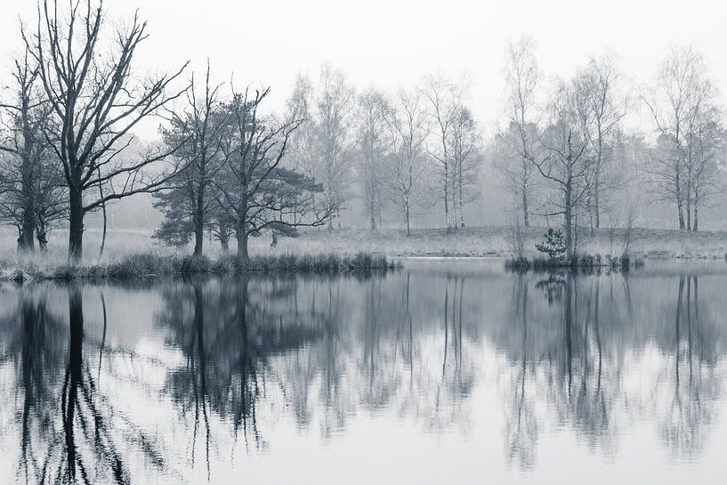 stil 2 von Maja Ooms