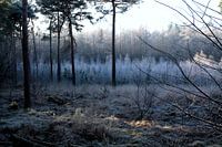 Ein kalter Wintermorgen