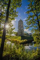 Pompejus, Fort de Roovere