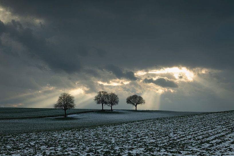 Winter light - Jacob's ladders above lone trees on the Südliche Weinstraße by André Post