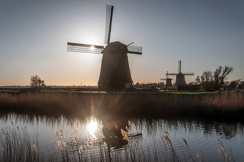 Molens in Schermerhorn von Sidney Portier